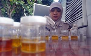 TES URINE: Ratusan anggota Polri yang bertugas di Polda Lampung menjalani tes urine kemarin (6/2). Pemeriksaan tersebut dalam rangka mengantisipasi adanya anggota Polri yang terlibat penyalahgunaan narkoba. Foto: Wahyu Syaifullah